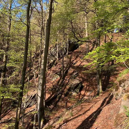 Raimund Winterberg Sauerland Medebach