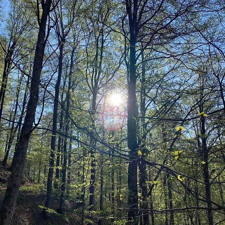 Apartment Raimund Winterberg Sauerland